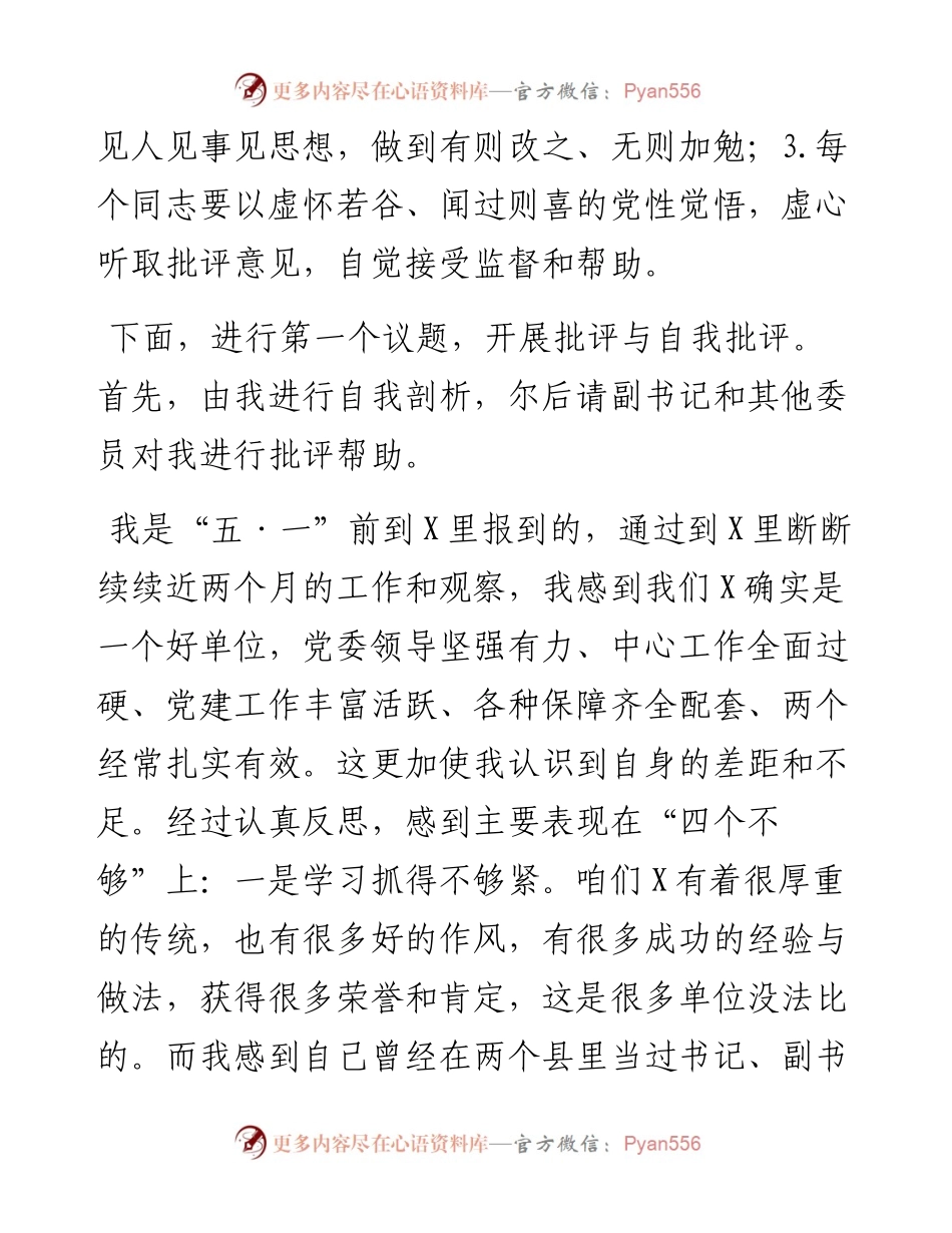 国企党委常委民主生活会点评讲话.docx_第2页