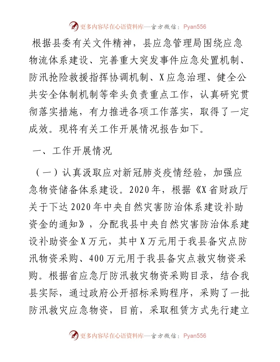 县应急管理局重点工作贯彻落实情况报告.docx_第1页