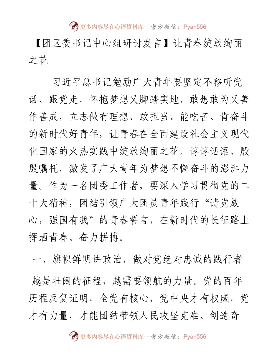 团区委书记中心组研讨发言：让青春绽放绚丽之花.docx_第1页