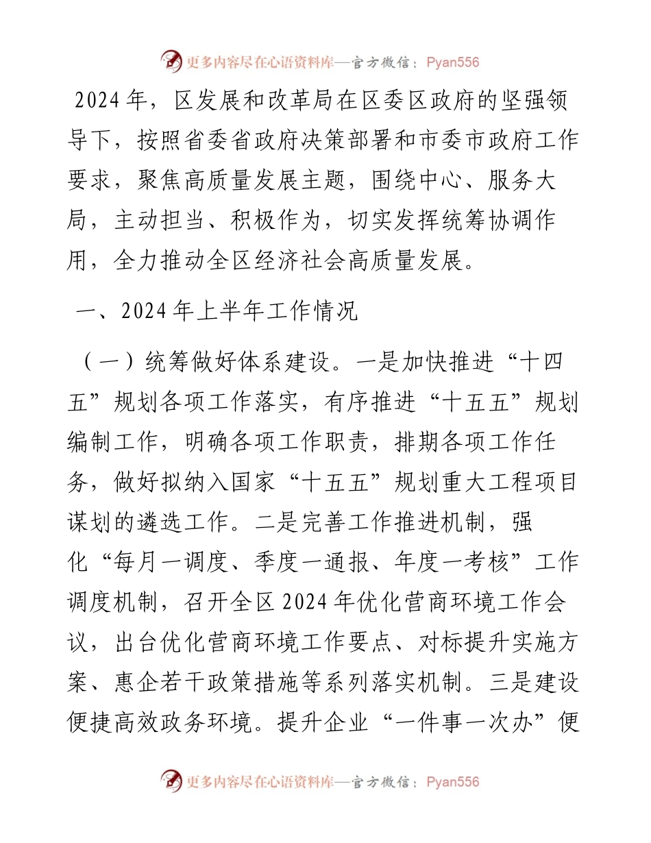 发展和改革局2024年上半年工作总结和下半年工作计划.docx_第1页