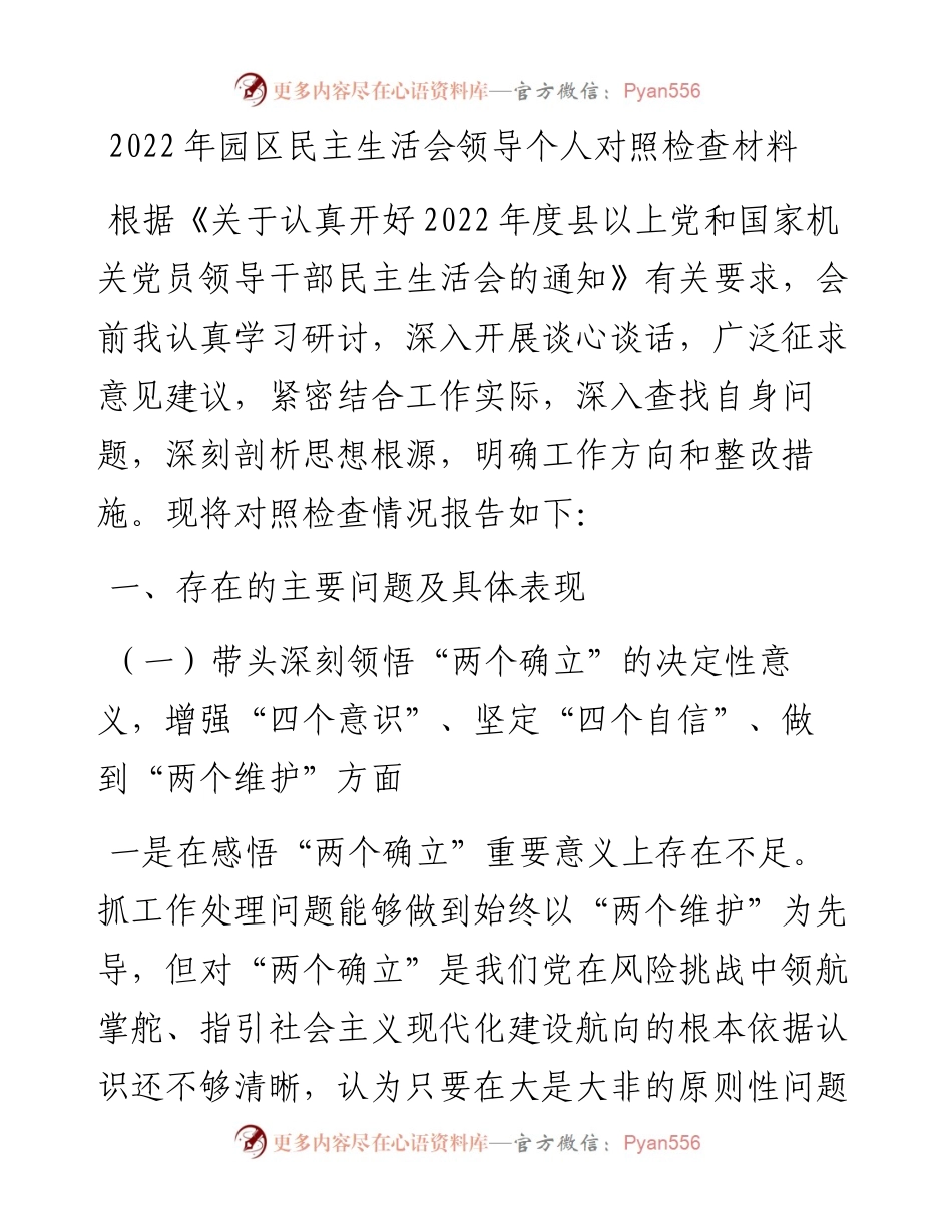 园区民主生活会领导个人对照检查材料.docx_第1页