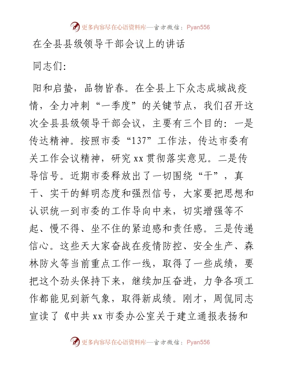在全县县级领导干部会议上的讲话.docx_第1页
