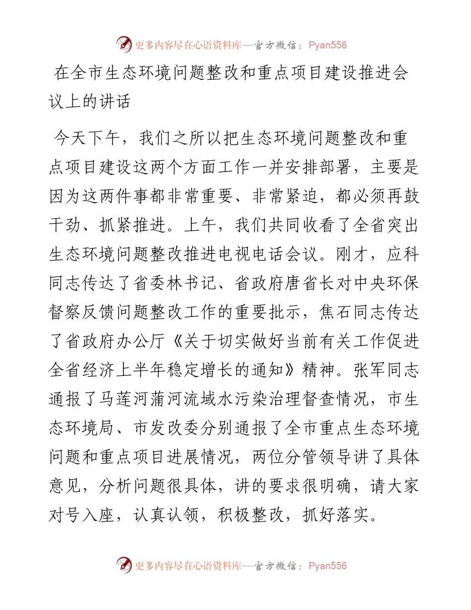 在全市生态环境问题整改和重点项目建设推进会议上的讲话.docx_第1页