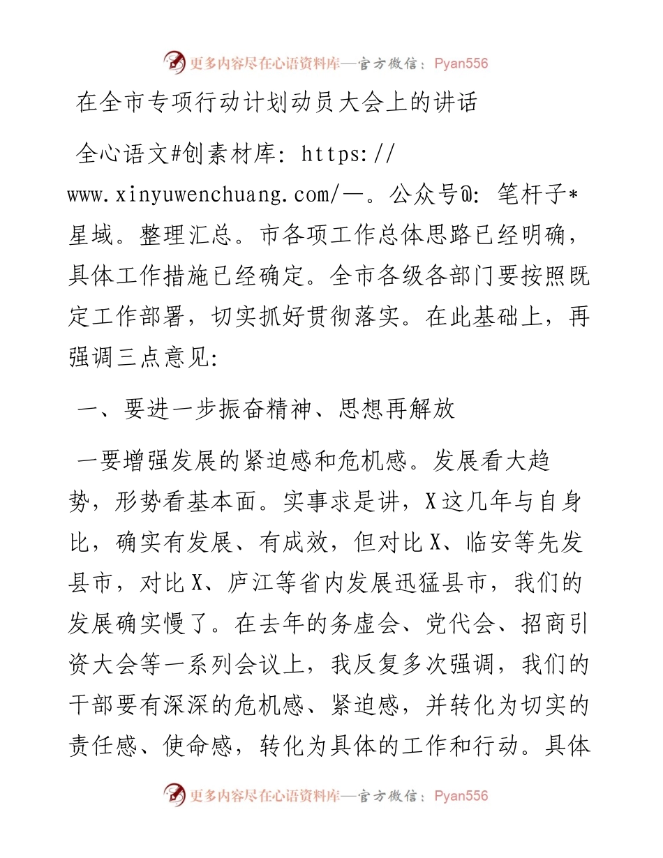 在全市专项行动计划动员大会上的讲话.docx_第1页