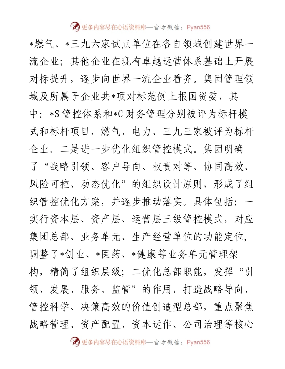 发挥多元化管控优势 构建产业发展新格局——公司交流发言材料.docx_第2页