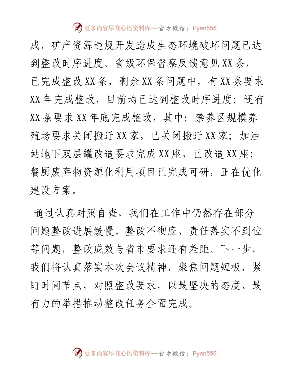 在全市生态环境问题整改集中攻坚推进会议上的发言.docx_第2页