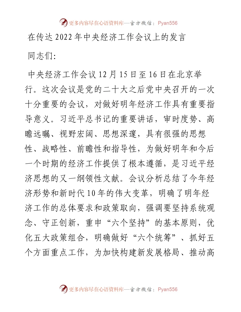 在传达中央经济工作会议上的发言.docx_第1页
