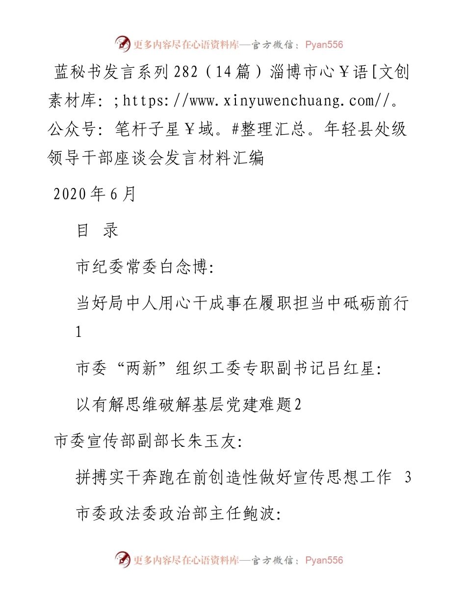 发言系列282（14篇）淄博市年轻县处级领导干部座谈会发言材料汇编.docx_第1页