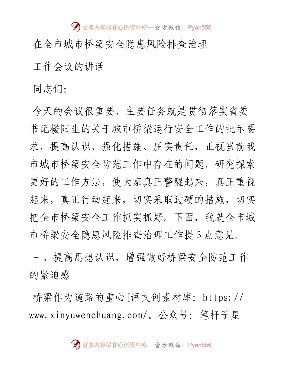 在全市城市桥梁安全隐患风险排查治理工作会议的讲话.docx_第1页