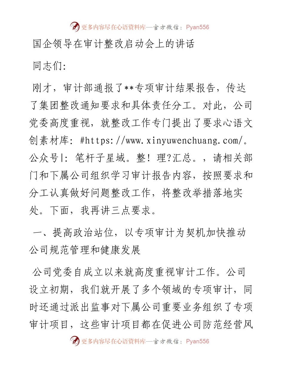 国企领导在审计整改启动会上的讲话.docx_第1页