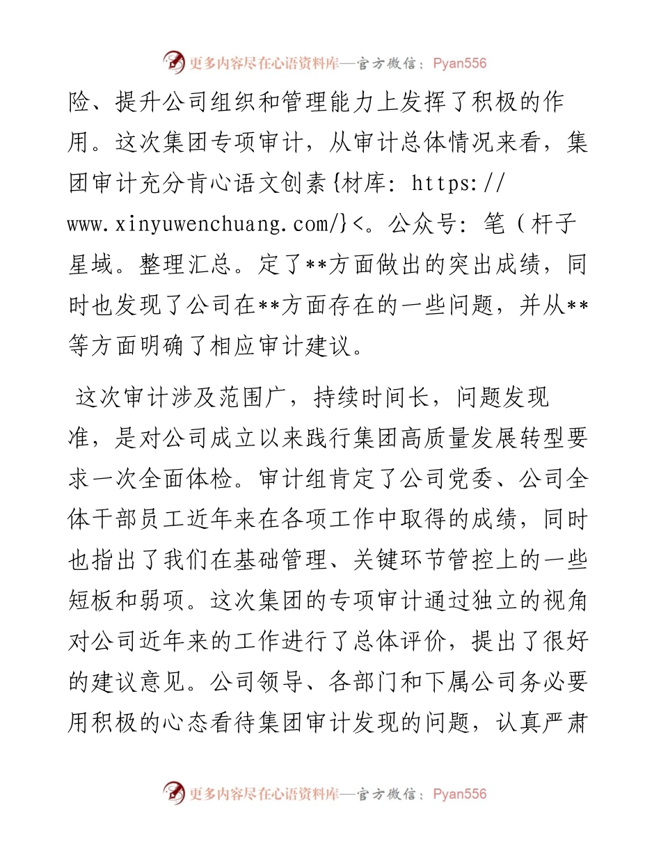 国企领导在审计整改启动会上的讲话.docx_第2页