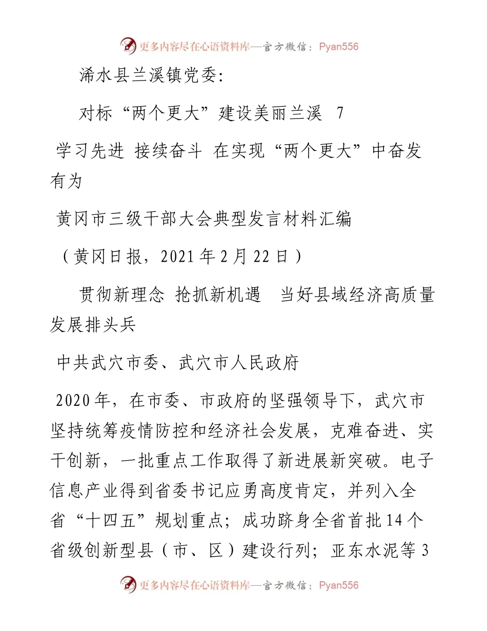 发言系列438（4篇）黄冈市三级干部大会典型发言材料汇编.docx_第2页