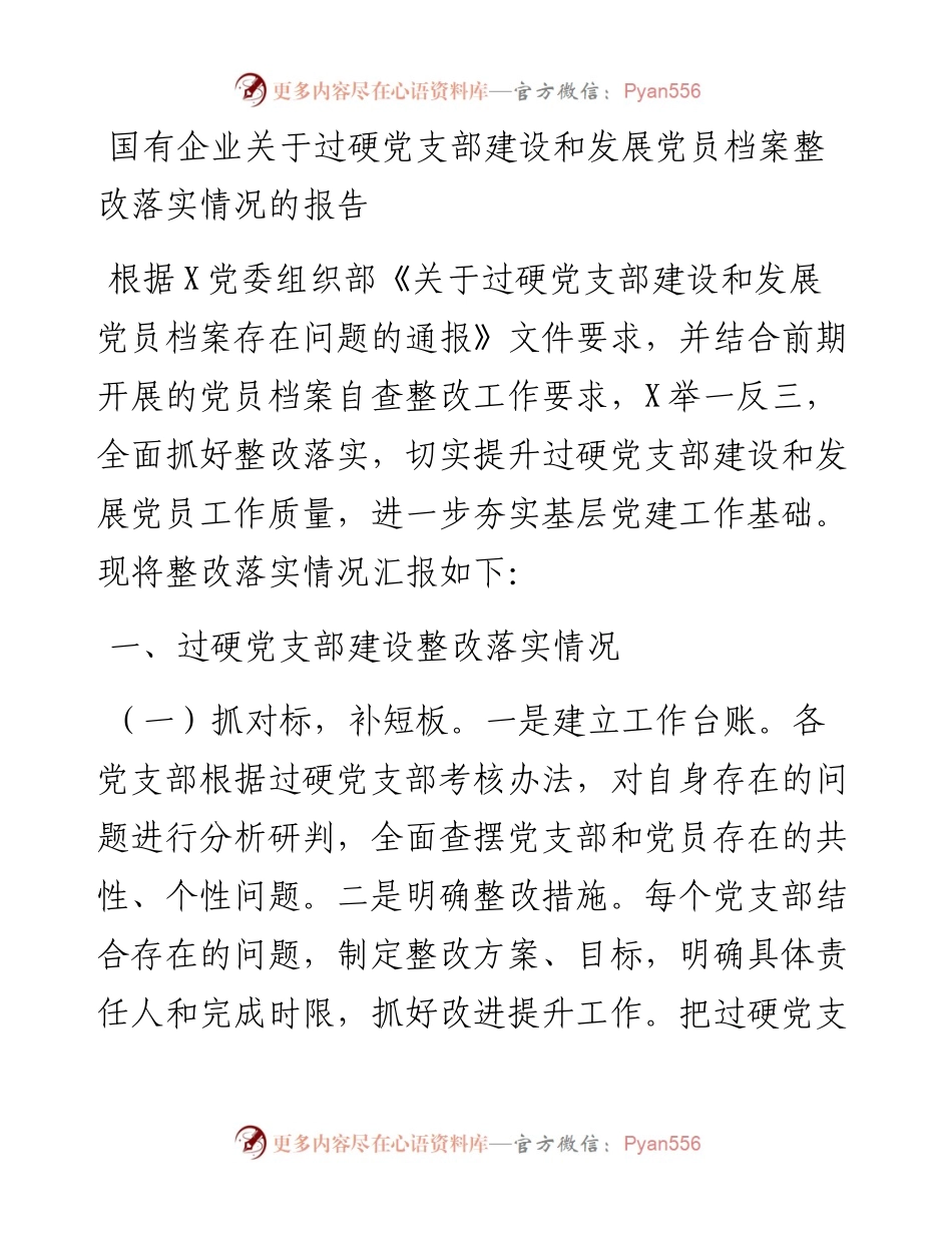 国有企业关于过硬党支部建设和发展党员档案整改落实情况的报告.docx_第1页