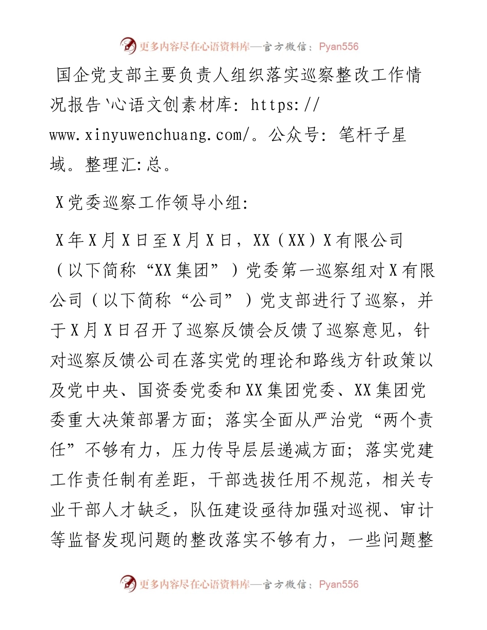 国企党支部主要负责人组织落实巡察整改工作情况报告.docx_第1页