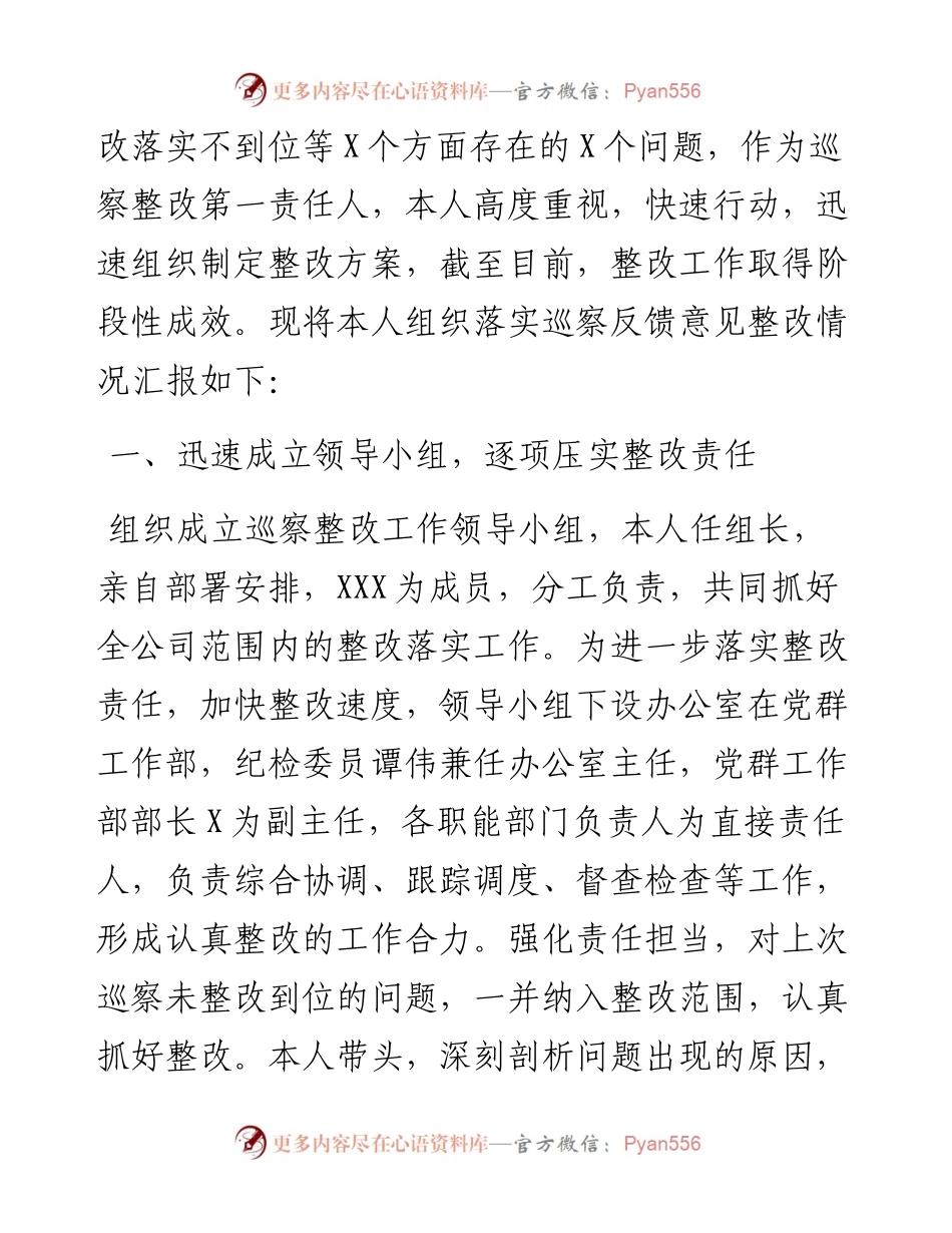 国企党支部主要负责人组织落实巡察整改工作情况报告.docx_第2页