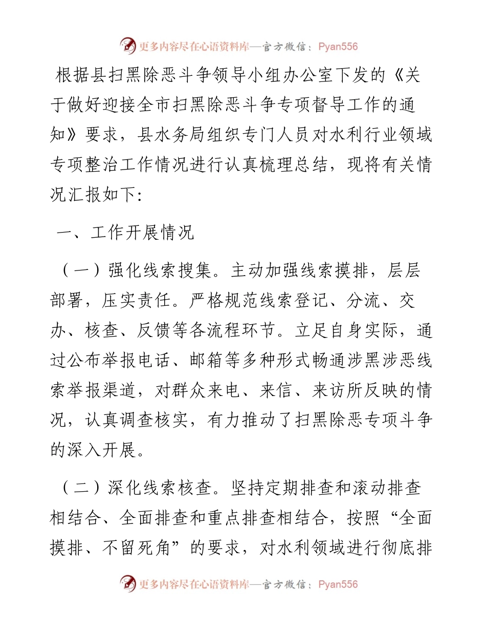 县水务局扫黑除恶重点行业领域专项整治工作开展情况汇报.docx_第1页