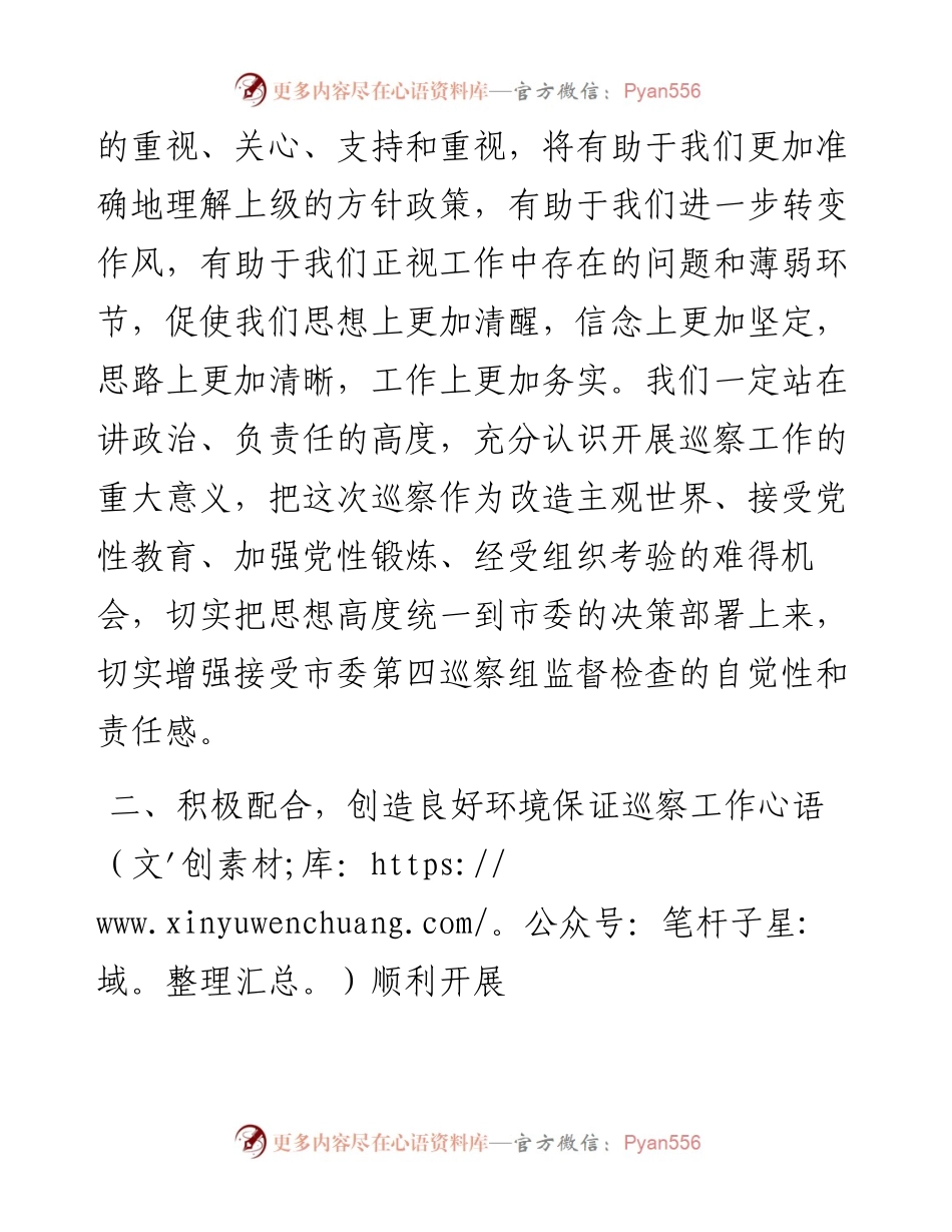 国企巡察动员发言材料.docx_第2页