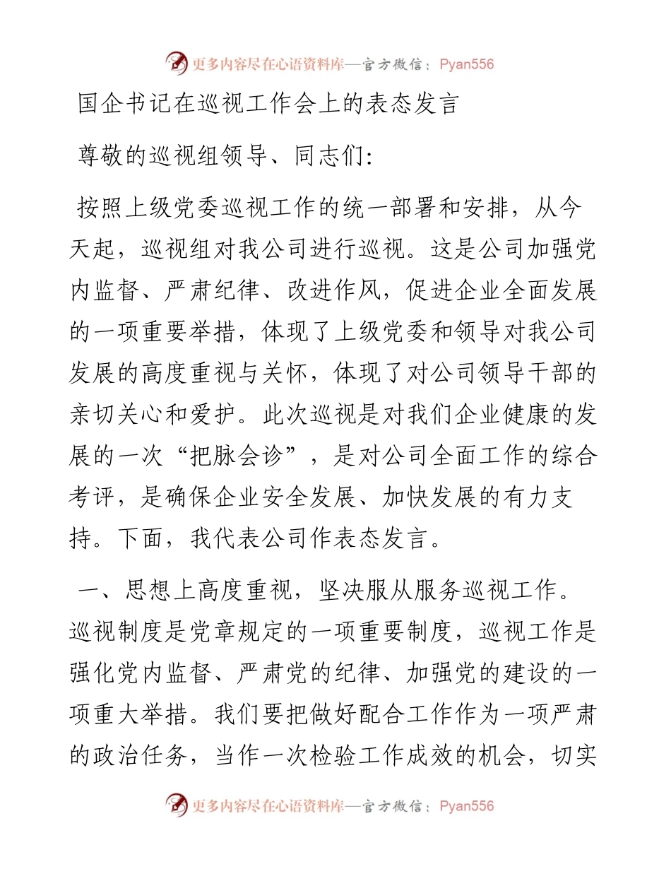 国企书记在巡视工作会上的表态发言.docx_第1页