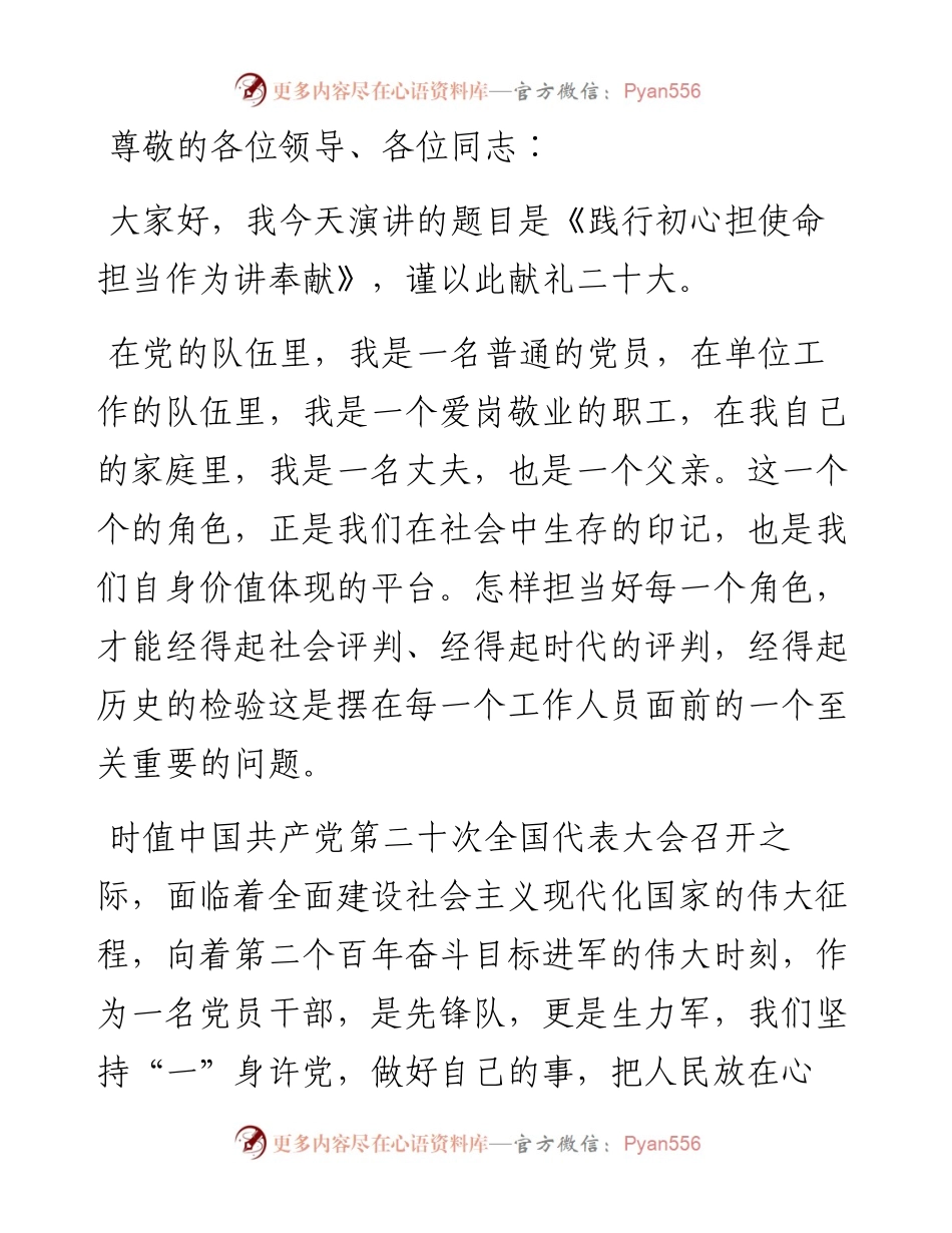喜迎盛会演讲稿：践行初心担使命 担当作为讲奉献.docx_第1页