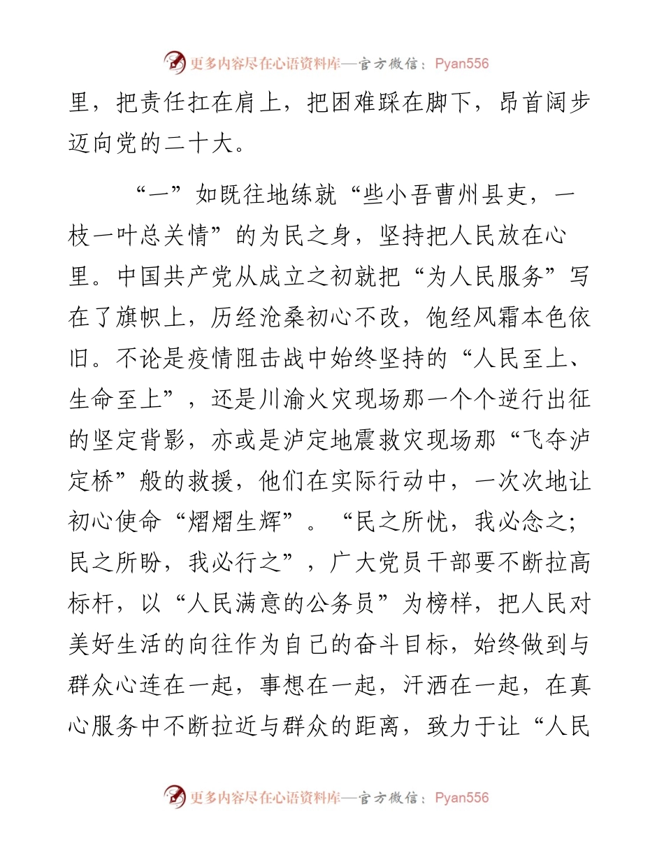 喜迎盛会演讲稿：践行初心担使命 担当作为讲奉献.docx_第2页