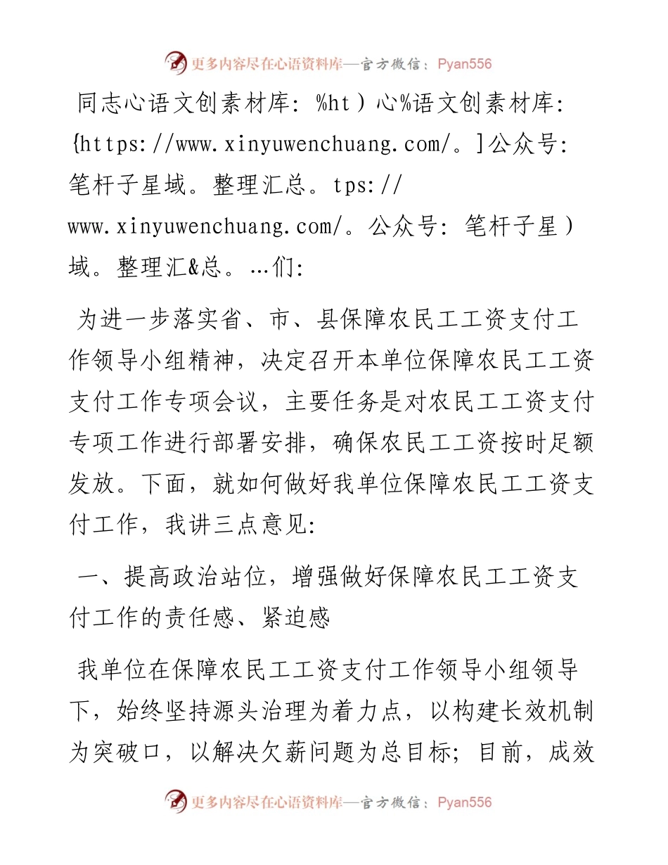 县水务局党组成员在在保障农民工工资会议上的讲话.docx_第1页