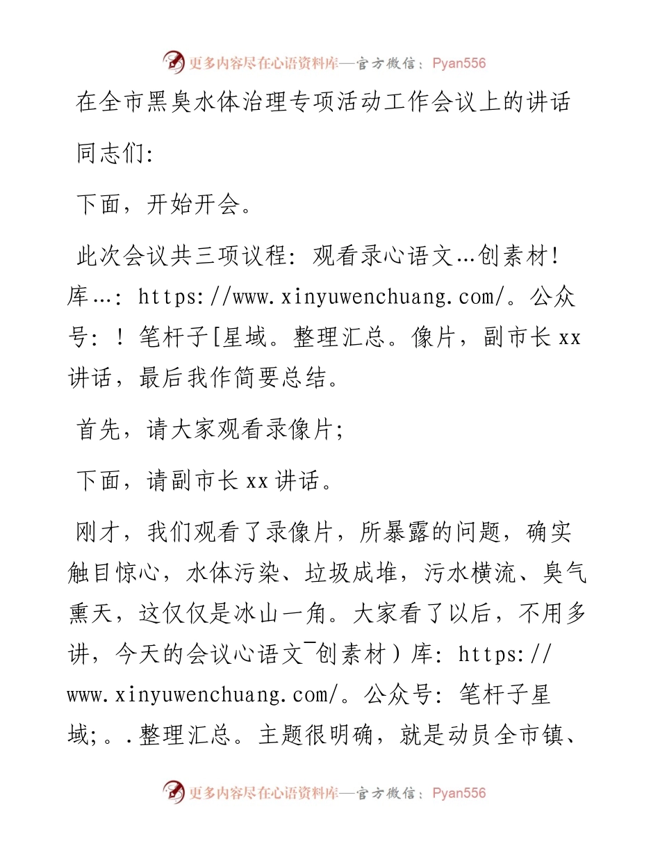 在全市黑臭水体治理专项活动工作会议上的讲话.docx_第1页