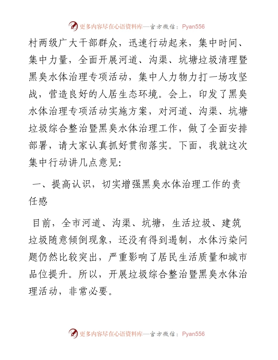 在全市黑臭水体治理专项活动工作会议上的讲话.docx_第2页