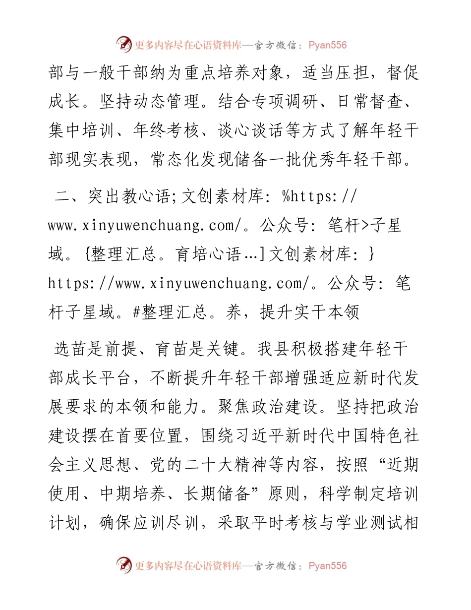 县委组织部部长在年轻干部队伍建设研讨会上的交流发言.docx_第2页