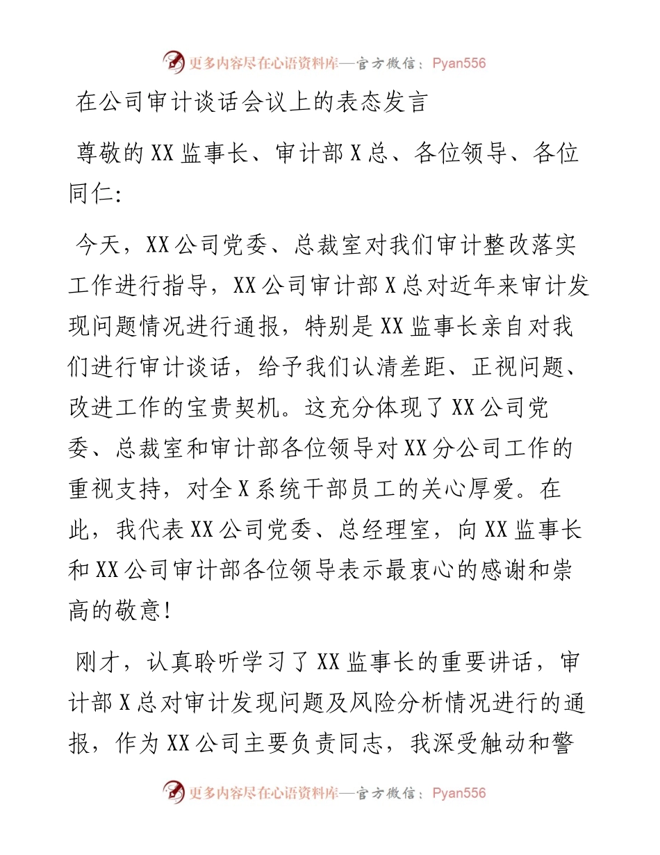 在公司审计谈话会议上的表态发言.docx_第1页