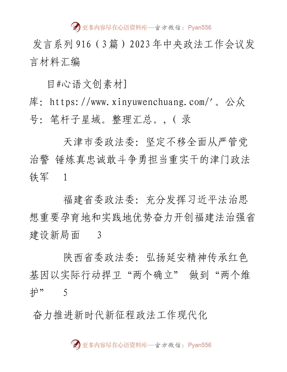 发言系列916（3篇）2023年中央政法工作会议发言材料汇编.docx_第1页