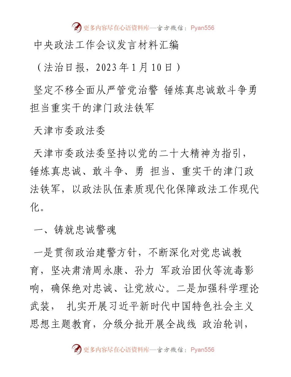 发言系列916（3篇）2023年中央政法工作会议发言材料汇编.docx_第2页