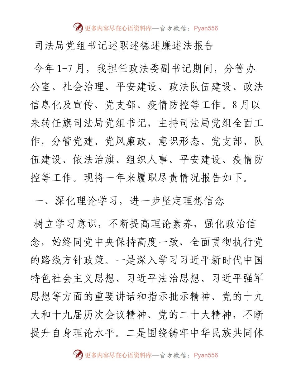 司法局党组书记述职述德述廉述法报告.docx_第1页