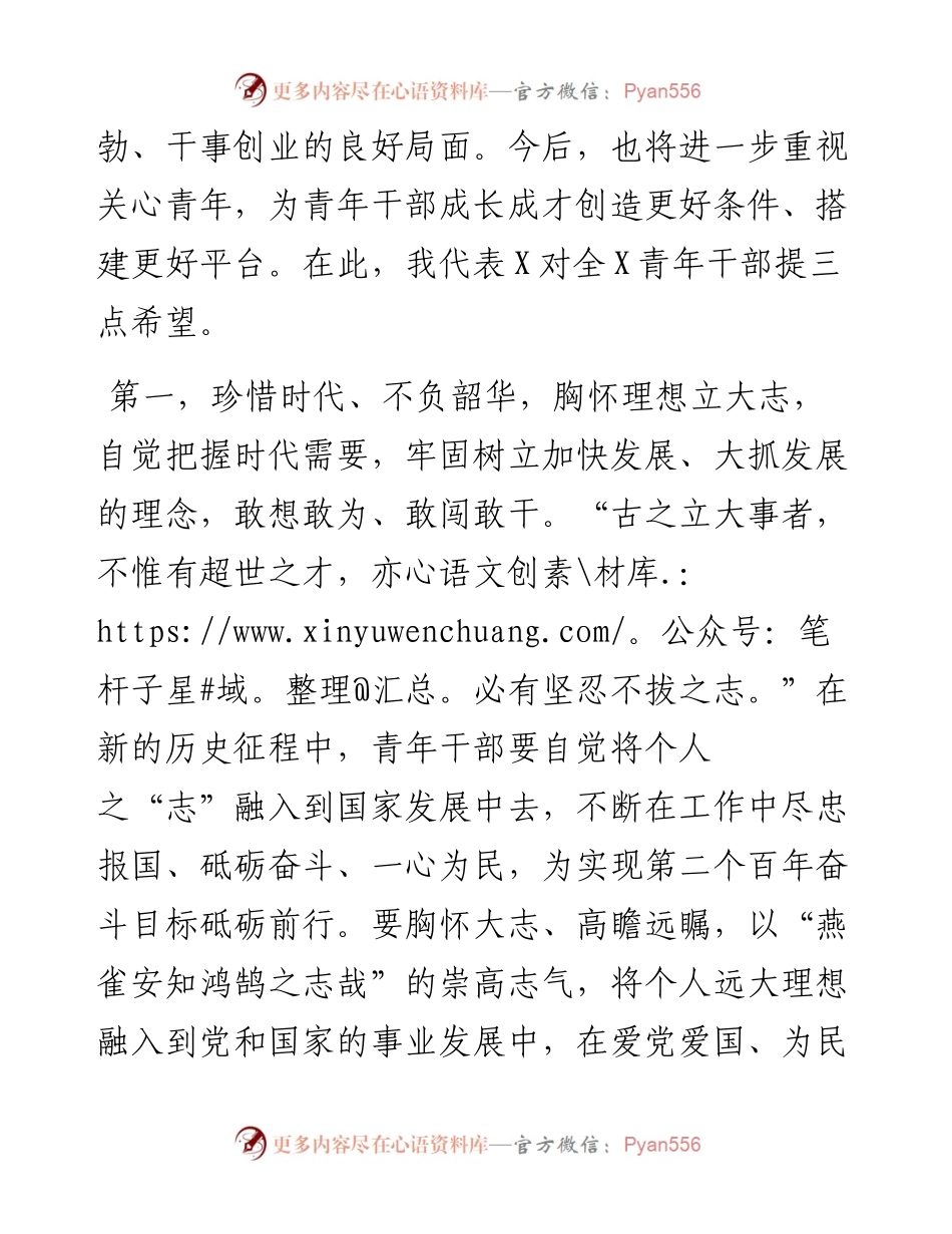 在2023年青年干部座谈会上的讲话提纲.docx_第2页