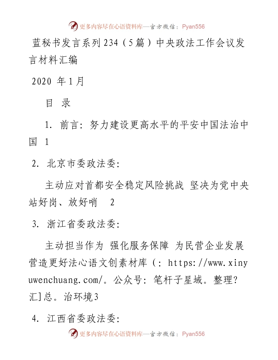 发言系列234（5篇）中央政法工作会议发言材料汇编.docx_第1页