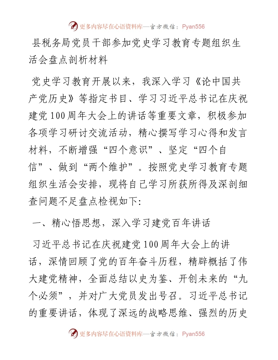 县税务局党员干部参加党史学习教育专题组织生活会盘点剖析材料.docx_第1页
