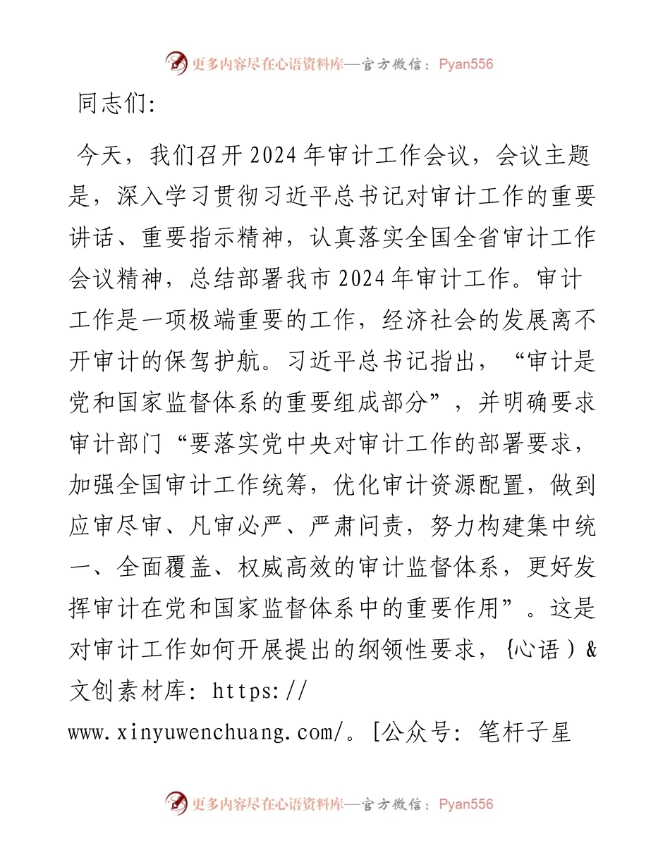 在2024年审计工作会议上的讲话提纲.docx_第1页