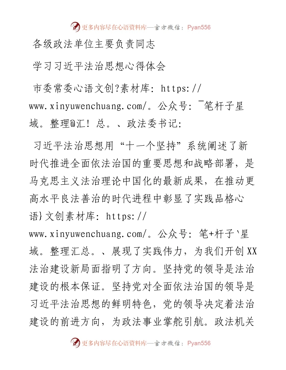 各级政法单位主要负责同志学习习近平法治思想心得体会.docx_第1页