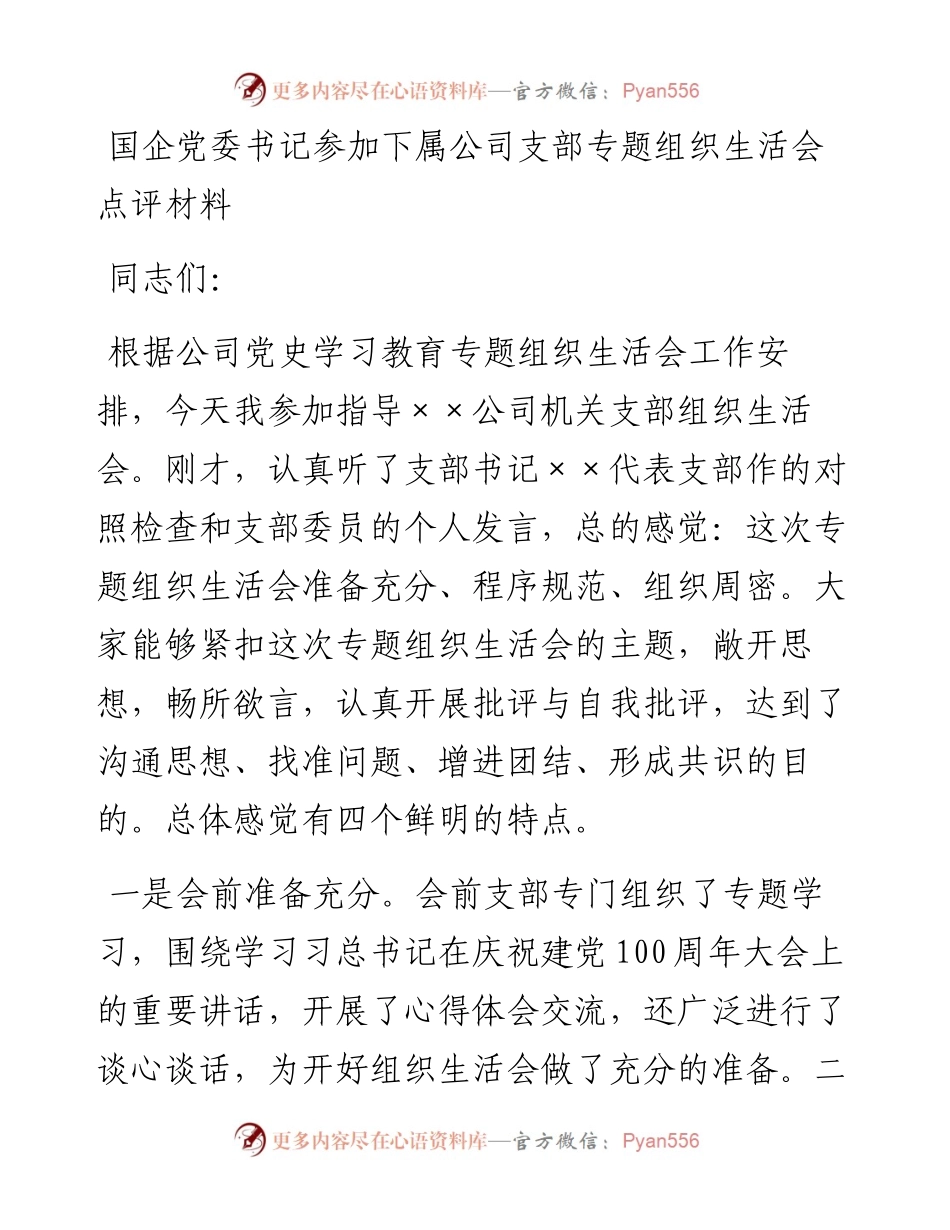 国企党委书记参加下属公司支部专题组织生活会点评材料.docx_第1页