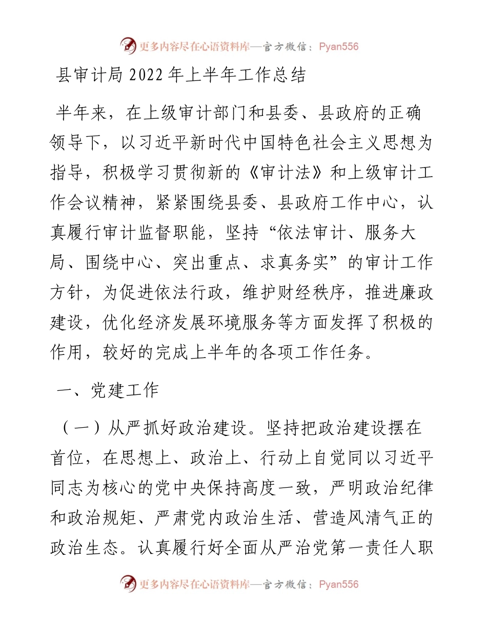 县审计局上半年工作总结.docx_第1页
