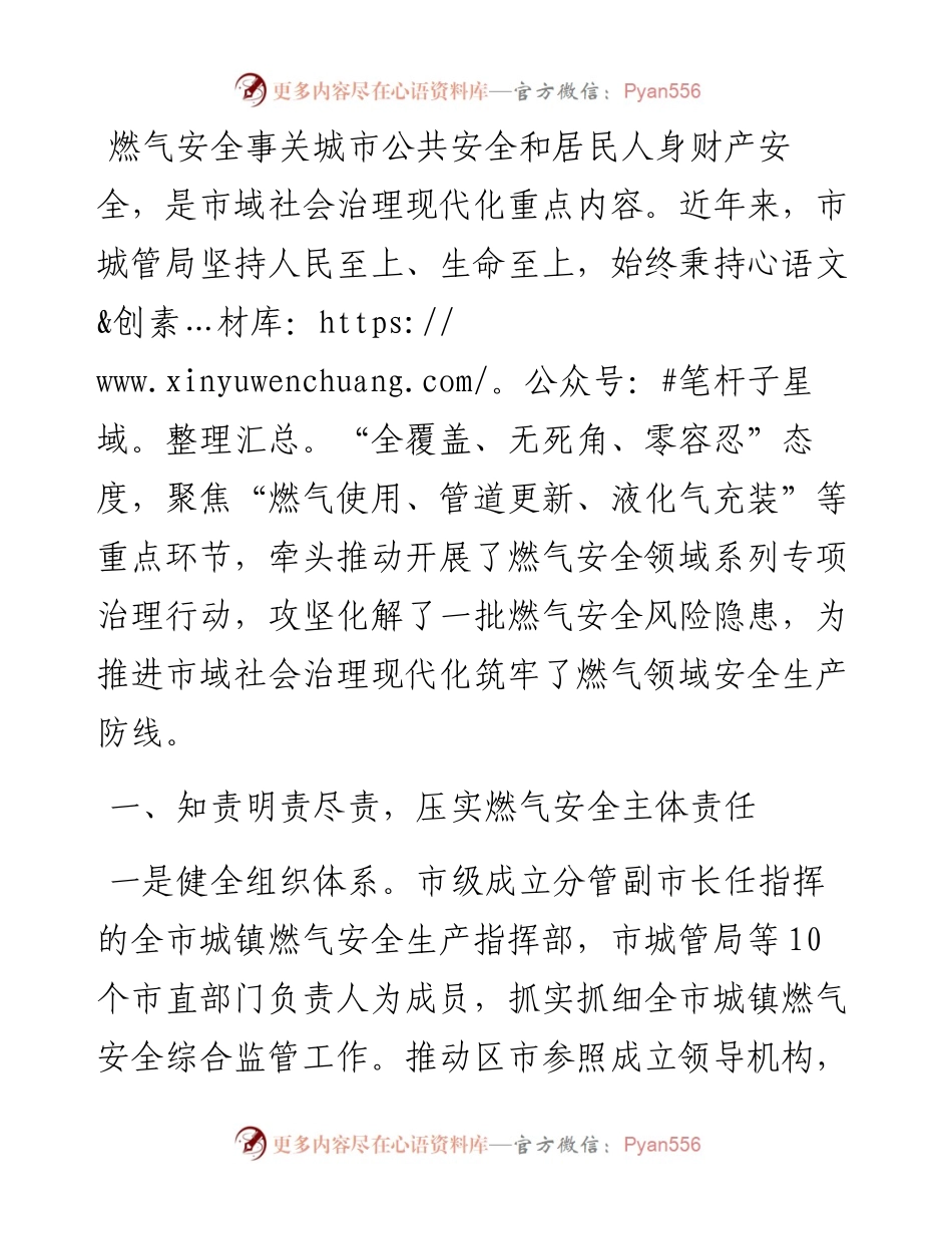 在全市城镇燃气安全生产工作会议上的讲话.docx_第1页