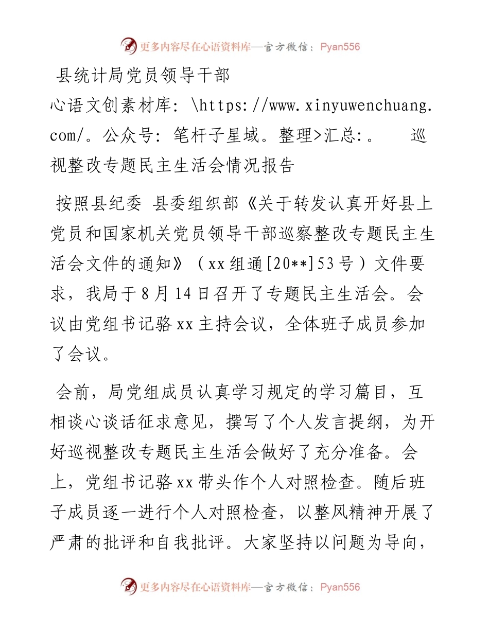 县统计局党员领导干部巡视整改专题民主生活会情况报告.docx_第1页