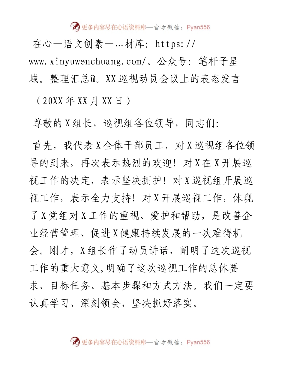 在XX巡视动员会议上的表态发言.docx_第1页