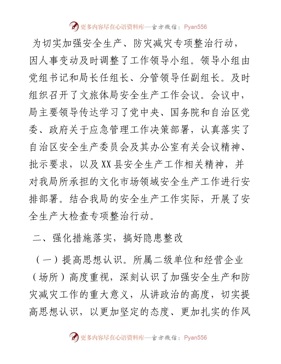 县文化旅游体育局应急安全、防灾减灾工作总结.docx_第2页