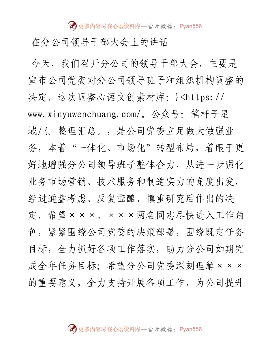 在分公司领导干部大会上的讲话.docx_第1页