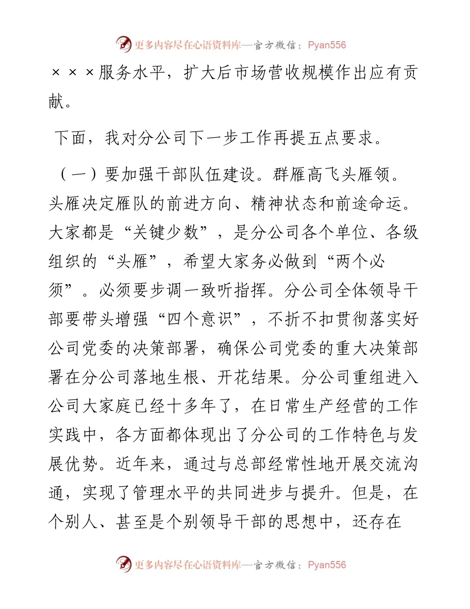 在分公司领导干部大会上的讲话.docx_第2页