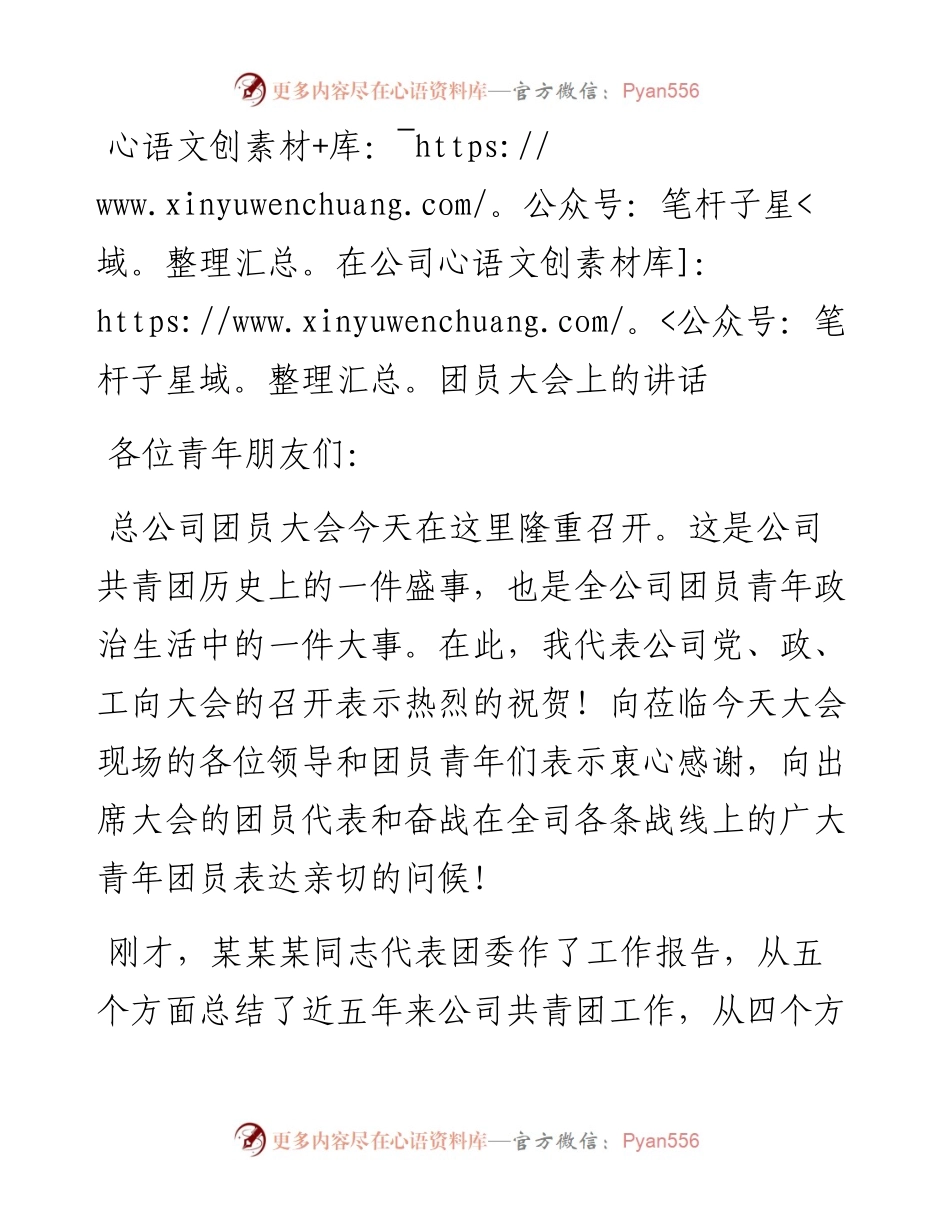 在公司团员大会上的讲话.docx_第1页