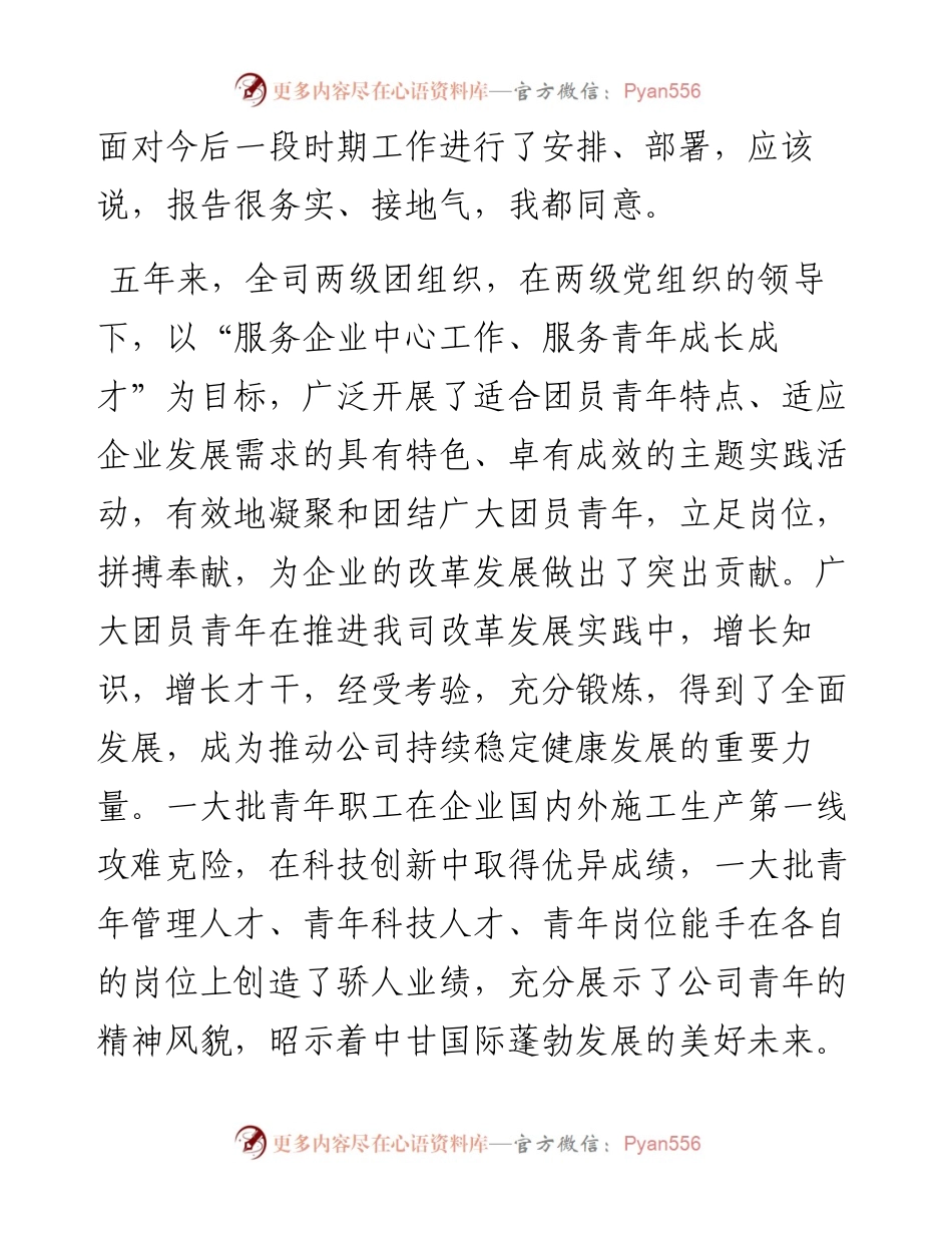 在公司团员大会上的讲话.docx_第2页