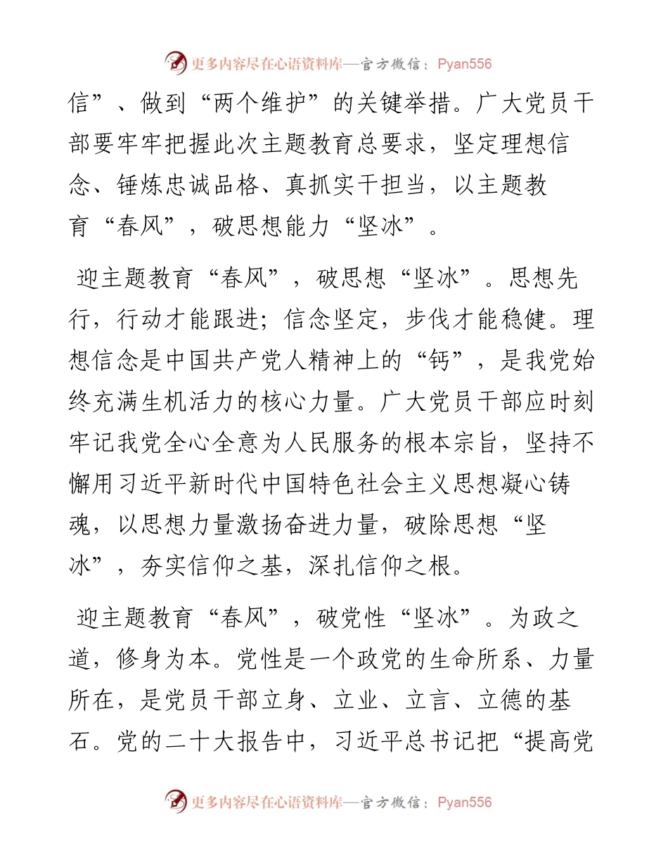 在党支部主题教育专题学习会上的发言.docx_第2页