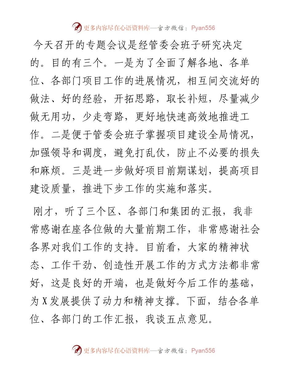 在X管委会项目工作专题会议上的讲话.docx_第1页
