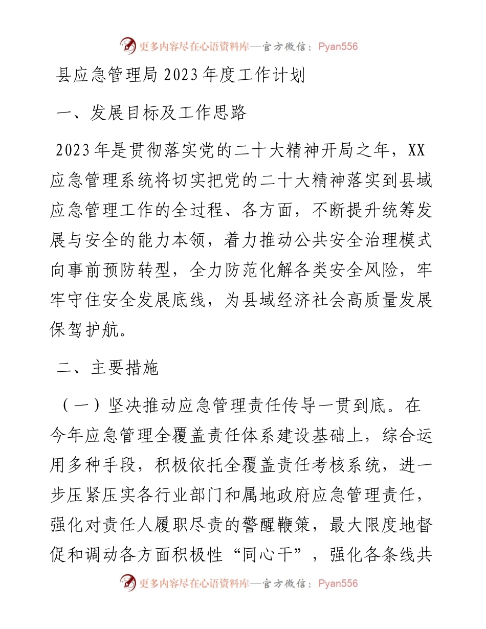 县应急管理局2023年度工作计划.docx_第1页